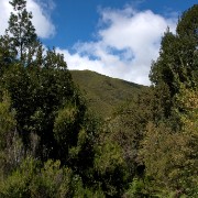 Madeira2008 CRW 4862 - Arbeitskopie 2 : portugal, madeira