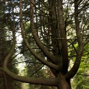 Madeira2008 CRW 5135 - Arbeitskopie 2 : madeira, portugal