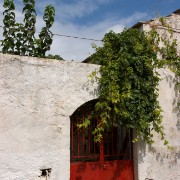 CRW 3872 : Crete, Greece, Griechenland, Holiday, Kreta, Urlaub