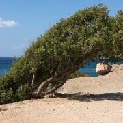 CRW 3991 : Crete, Greece, Griechenland, Holiday, Kreta, Urlaub