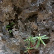 CRW 4118 : Crete, Greece, Griechenland, Holiday, Kreta, Urlaub