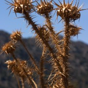 CRW 4132 : Crete, Greece, Griechenland, Holiday, Kreta, Urlaub