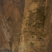 CRW 4202 : Crete, Greece, Griechenland, Holiday, Kreta, Urlaub