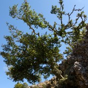 CRW 4283 : Crete, Greece, Griechenland, Holiday, Kreta, Urlaub