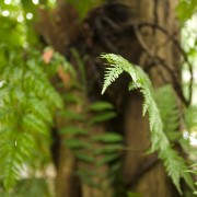 CRW 2112 : Belgien, Natur Nature, Urlaub